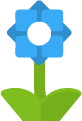 Blue flower